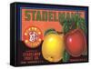 Crate Label for Stadelman's Apples-null-Framed Stretched Canvas