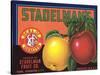 Crate Label for Stadelman's Apples-null-Stretched Canvas