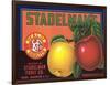 Crate Label for Stadelman's Apples-null-Framed Art Print