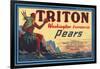 Crate Label for Triton Pears-null-Framed Art Print