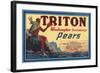 Crate Label for Triton Pears-null-Framed Art Print