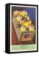 Crate of Indian Rocks Grapefruit-null-Framed Stretched Canvas