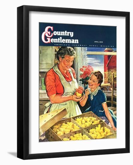 "Crate of New Baby Chicks," Country Gentleman Cover, April 1, 1945-W.C. Griffith-Framed Giclee Print