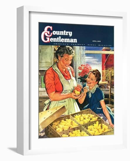 "Crate of New Baby Chicks," Country Gentleman Cover, April 1, 1945-W.C. Griffith-Framed Giclee Print