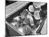 Crated Quartz Crystals That are Part of the U.S. Strategic Materials Stockpile-Ed Clark-Mounted Photographic Print