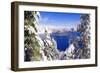 Crater Lake and Wizard Island in Winter, Crater Lake National Park, Oregon, Usa-Russ Bishop-Framed Photographic Print