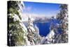 Crater Lake and Wizard Island in Winter, Crater Lake National Park, Oregon, Usa-Russ Bishop-Stretched Canvas