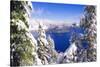 Crater Lake and Wizard Island in Winter, Crater Lake National Park, Oregon, Usa-Russ Bishop-Stretched Canvas