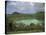 Crater Lake at Manengouba, Western Area, Cameroon, West Africa, Africa-Julia Bayne-Stretched Canvas