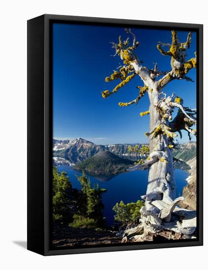 Crater Lake I-Ike Leahy-Framed Stretched Canvas