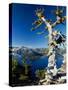 Crater Lake I-Ike Leahy-Stretched Canvas