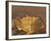 Crater of Popocatépetl, 1833-Jean Baptiste Louis Gros-Framed Giclee Print