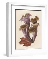 Craterellus Cornucopiodes Common Name: Black Chanterelle-null-Framed Art Print