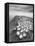 Crateres BW-Moises Levy-Framed Stretched Canvas