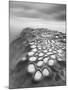 Crateres BW-Moises Levy-Mounted Photographic Print