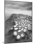 Crateres BW-Moises Levy-Mounted Photographic Print