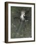 Craters Near the Summit of Mount Etna, Italy-null-Framed Photographic Print