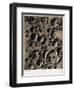 Craters on the Moon, 1863-Science Source-Framed Giclee Print