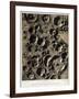 Craters on the Moon, 1863-Science Source-Framed Giclee Print