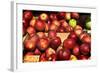 Crates of Apples-null-Framed Photo