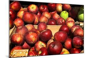 Crates of Apples-null-Mounted Photo