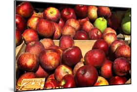 Crates of Apples-null-Mounted Photo