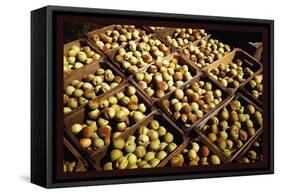 Crates of Peaches-Russell Lee-Framed Stretched Canvas
