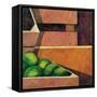 Crates with Green Oranges, 1999-Pedro Diego Alvarado-Framed Stretched Canvas