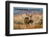 Crawford Country USA, Colorado - Mule Deer in Field - Lantern Press Photography (James T. Jones)-Lantern Press-Framed Photographic Print