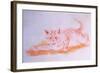 Crawling Cat, C.1935-Louis Wain-Framed Giclee Print