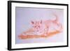 Crawling Cat, C.1935-Louis Wain-Framed Giclee Print