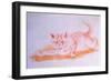 Crawling Cat, C.1935-Louis Wain-Framed Giclee Print