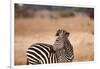 Crawshay's Zebra-Michele Westmorland-Framed Photographic Print