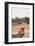 Crawshay's Zebra-Michele Westmorland-Framed Photographic Print