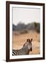 Crawshay's Zebra-Michele Westmorland-Framed Photographic Print