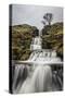 Cray Waterfall, Wharfedale, Yorkshire, England, United Kingdom, Europe-Bill Ward-Stretched Canvas