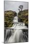 Cray Waterfall, Wharfedale, Yorkshire, England, United Kingdom, Europe-Bill Ward-Mounted Photographic Print