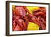 Crayfish Boil--=Viktor=--Framed Photographic Print