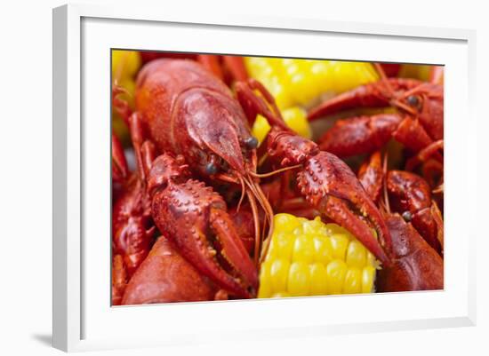 Crayfish Boil--=Viktor=--Framed Photographic Print