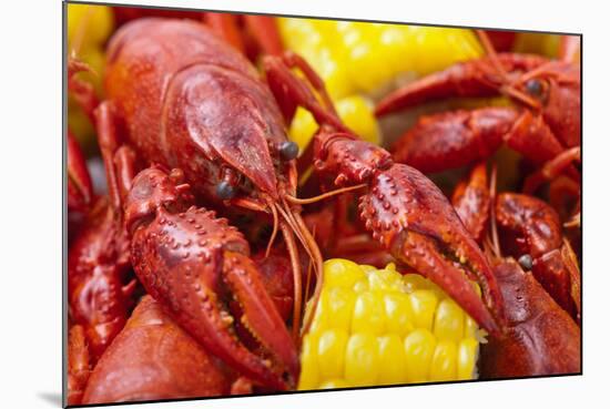 Crayfish Boil--=Viktor=--Mounted Photographic Print