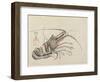 Crayfish, C. 1830-Hogyoku-Framed Giclee Print