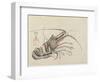 Crayfish, C. 1830-Hogyoku-Framed Giclee Print