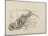 Crayfish, C. 1830-Hogyoku-Mounted Giclee Print