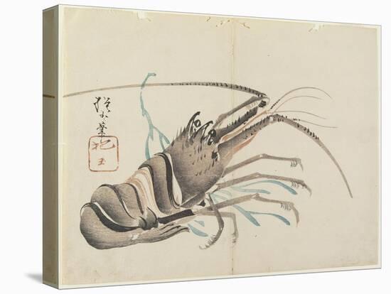 Crayfish, C. 1830-Hogyoku-Stretched Canvas