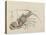 Crayfish, C. 1830-Hogyoku-Stretched Canvas