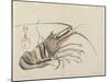 Crayfish, C. 1830-Hogyoku-Mounted Giclee Print