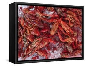 Crayfish in Bergen's Fish Market, Norway-Russell Young-Framed Stretched Canvas