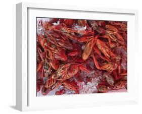 Crayfish in Bergen's Fish Market, Norway-Russell Young-Framed Photographic Print