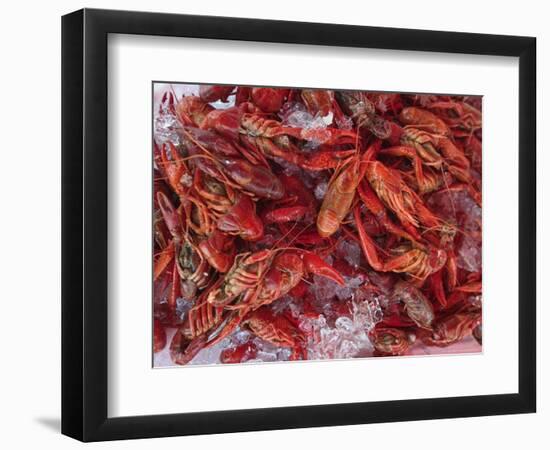 Crayfish in Bergen's Fish Market, Norway-Russell Young-Framed Photographic Print