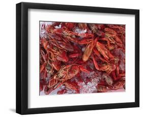 Crayfish in Bergen's Fish Market, Norway-Russell Young-Framed Photographic Print